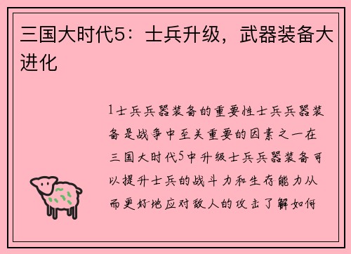 三国大时代5：士兵升级，武器装备大进化