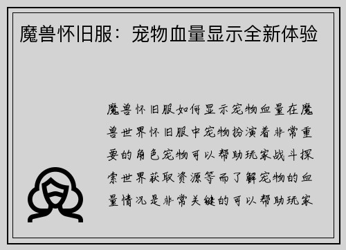 魔兽怀旧服：宠物血量显示全新体验